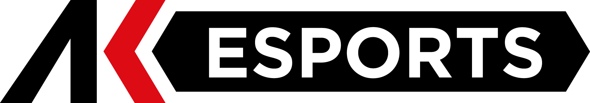 Partner Logo 1